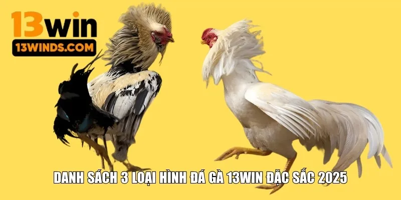 Danh sách 3 loại hình đá gà 13WIN đặc sắc 2025