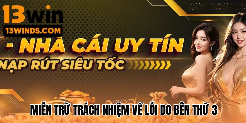 Miễn trừ trách nhiệm về lỗi do bên thứ 3