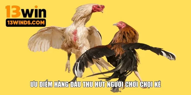 Ưu điểm hàng đầu thu hút người chơi chọi kê