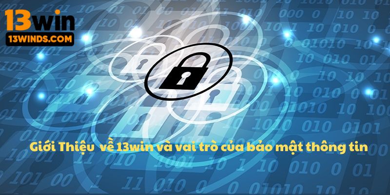 Tổng quan nhà cái và vai trò bảo vệ thông tin